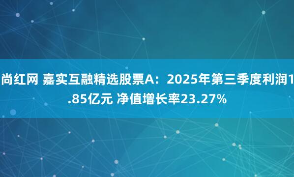 尚红网 嘉实互融精选股票A：2025年第三季度利润1.85亿元 净值增长率23.27%