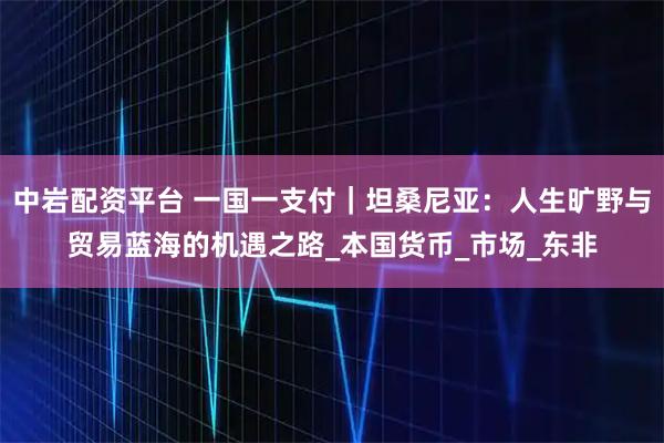 中岩配资平台 一国一支付｜坦桑尼亚：人生旷野与贸易蓝海的机遇之路_本国货币_市场_东非